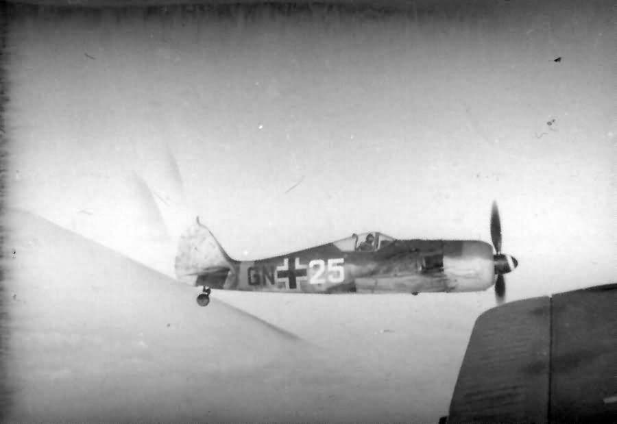 Focke Wulf Fw 190 GN 25 in flight